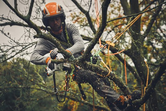 Stihl GTA 40 mit Akku und Ladegerät