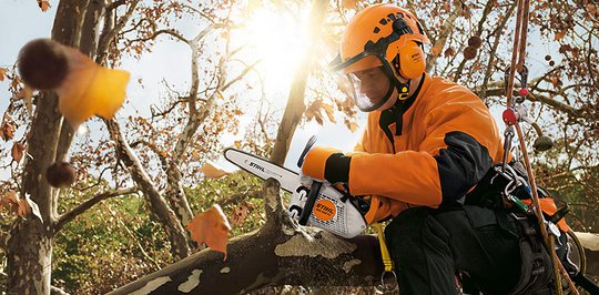 Stihl MS 150 TC-E 1